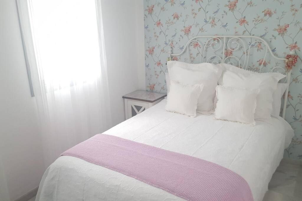 Apartamento Alfareria 塞维利亚 外观 照片