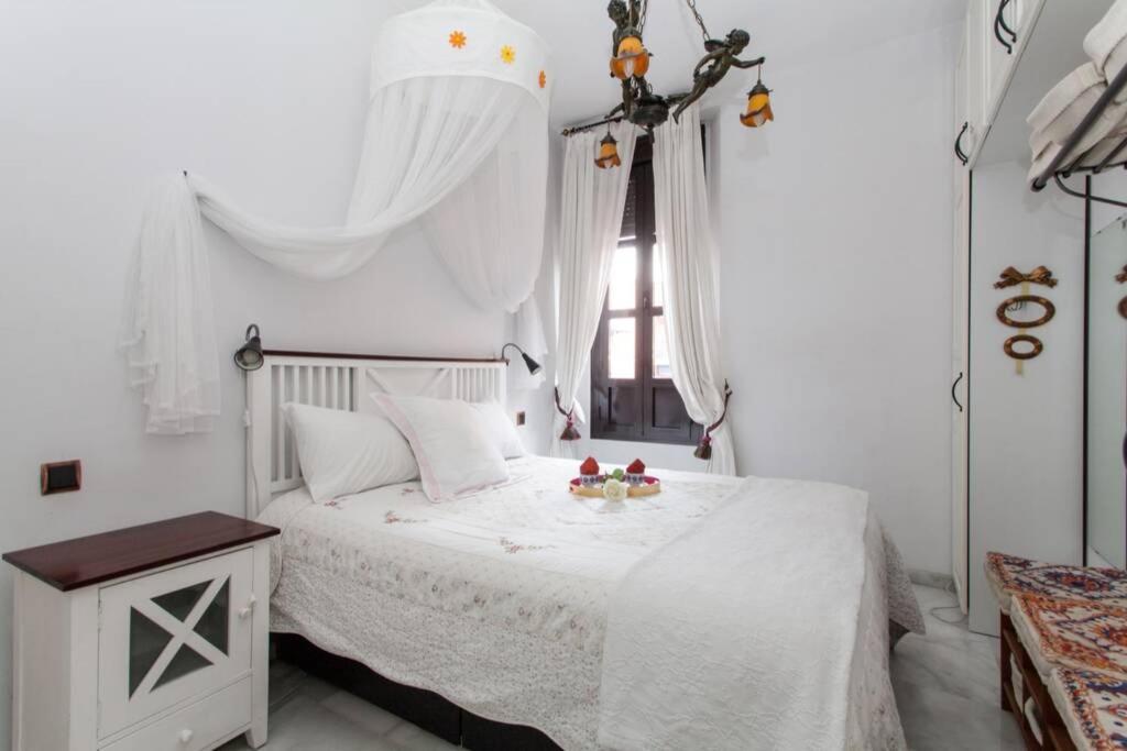 Apartamento Alfareria 塞维利亚 外观 照片